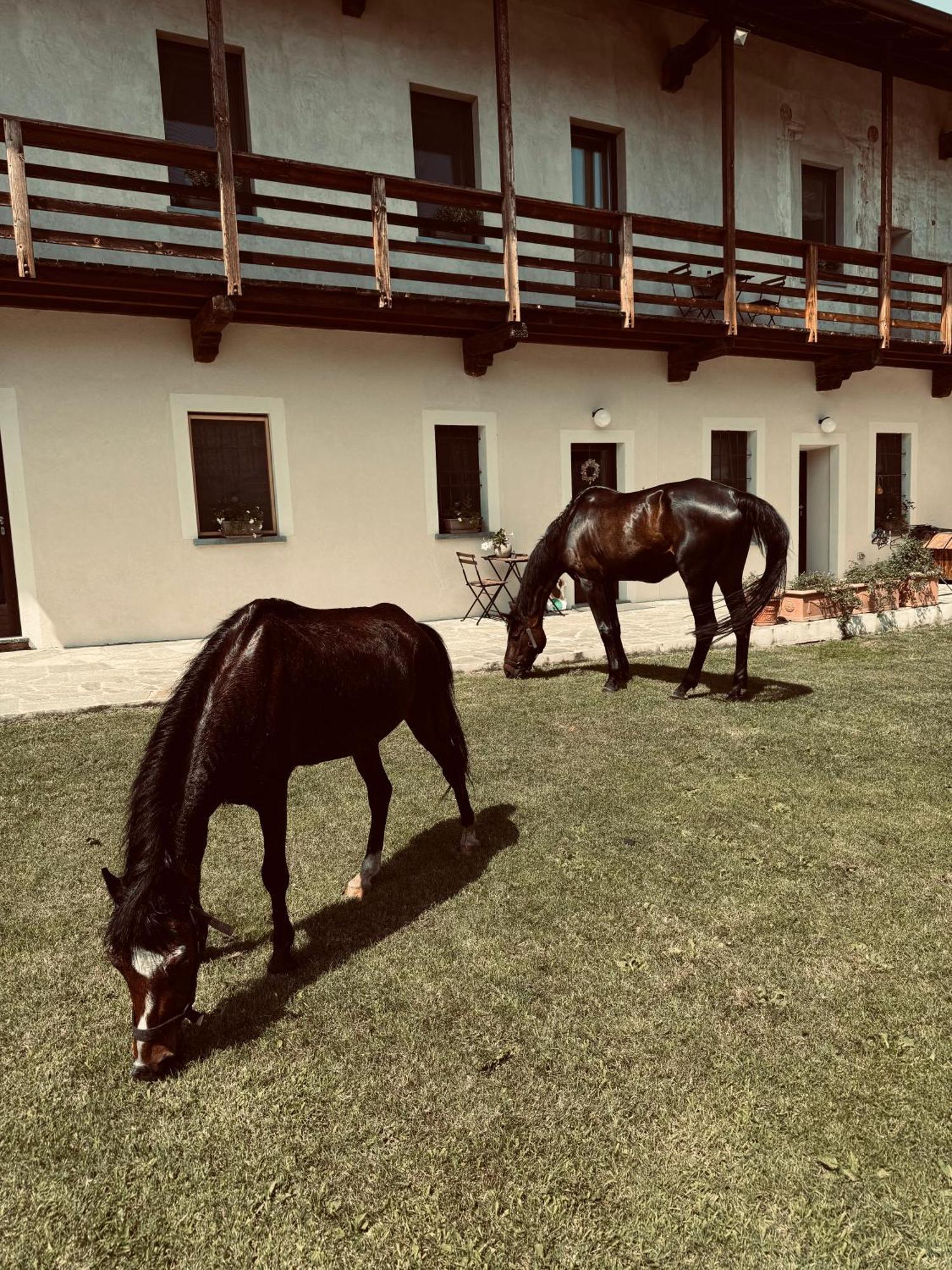 La Cocca Home Bellinzago Novarese Dış mekan fotoğraf