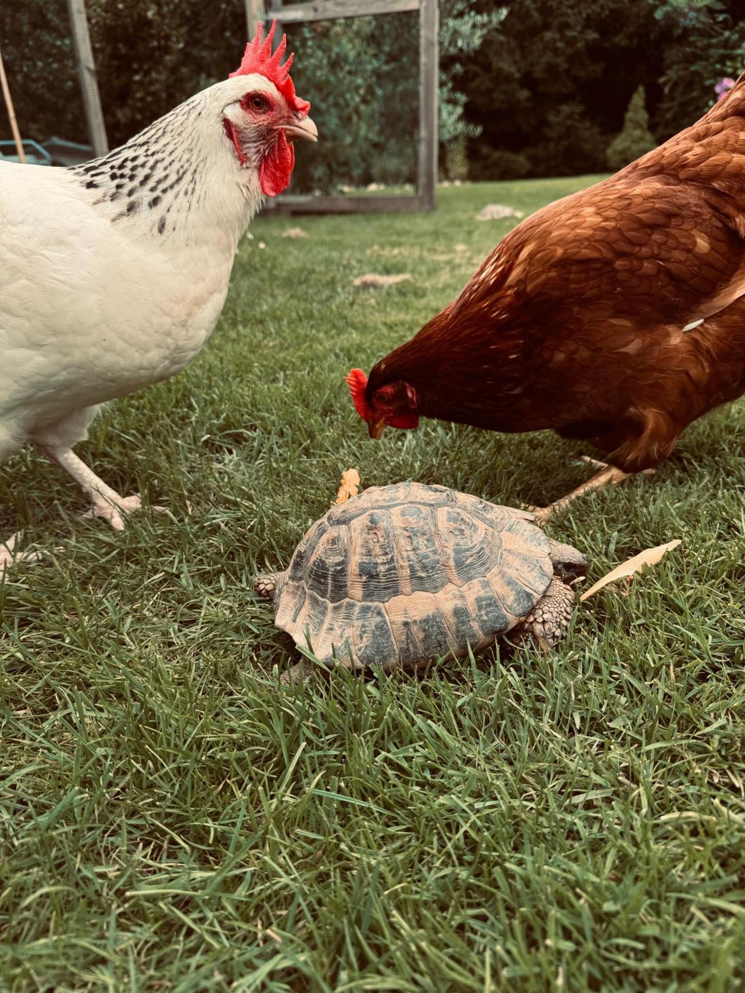 La Cocca Home Bellinzago Novarese Dış mekan fotoğraf