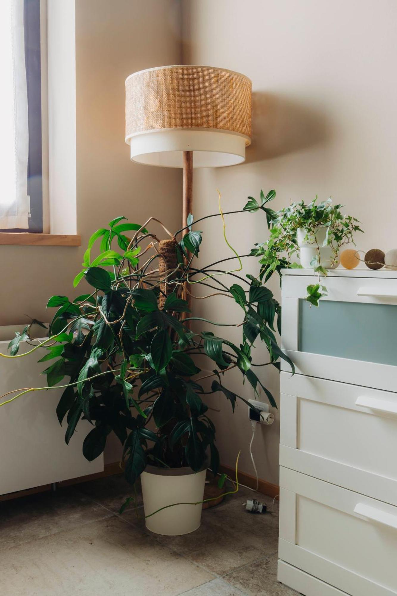 La Cocca Home Bellinzago Novarese Dış mekan fotoğraf